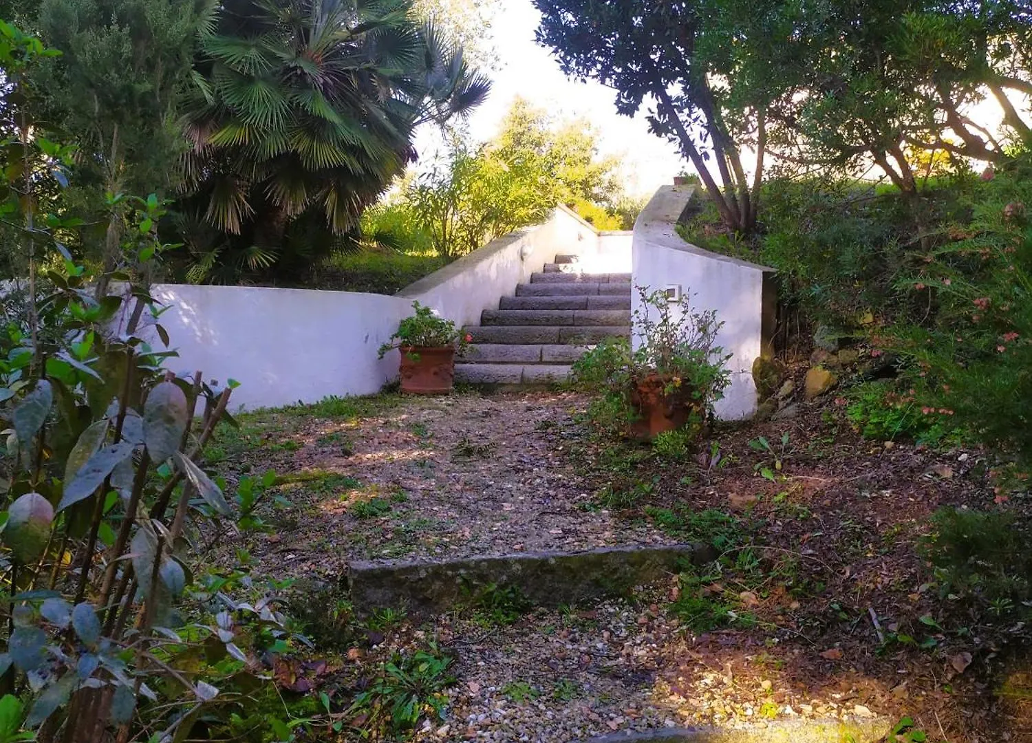 B&B Casa Corbezzolo Procchio  Bed & Breakfast