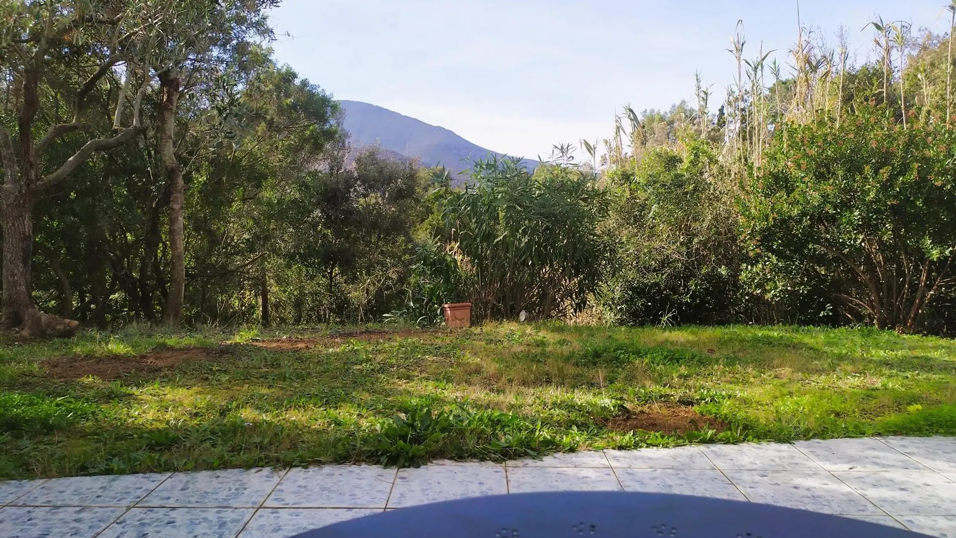 Bed & Breakfast B&B Casa Corbezzolo Procchio